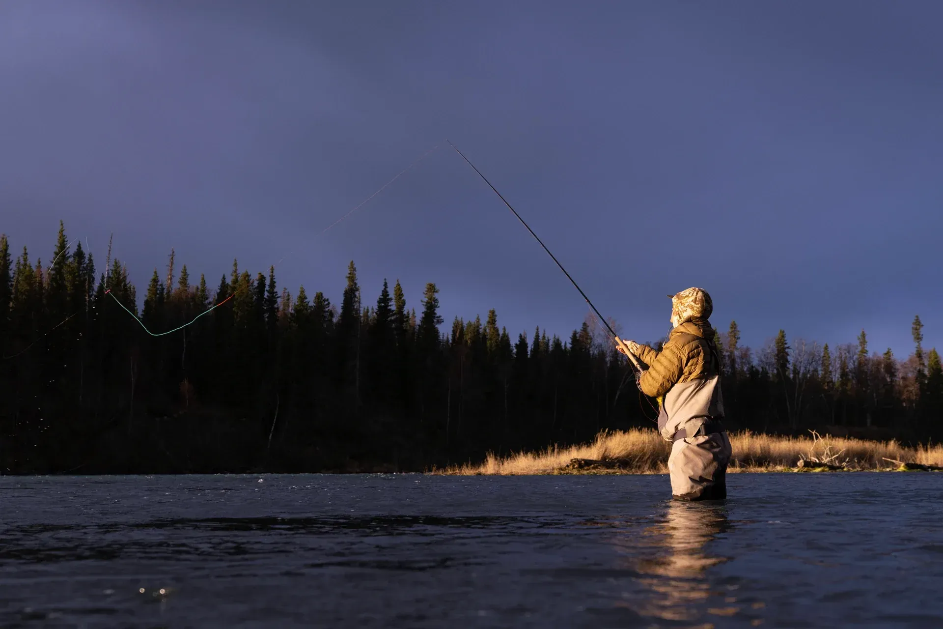 Kenai Peninsula river, a glassy run through timber