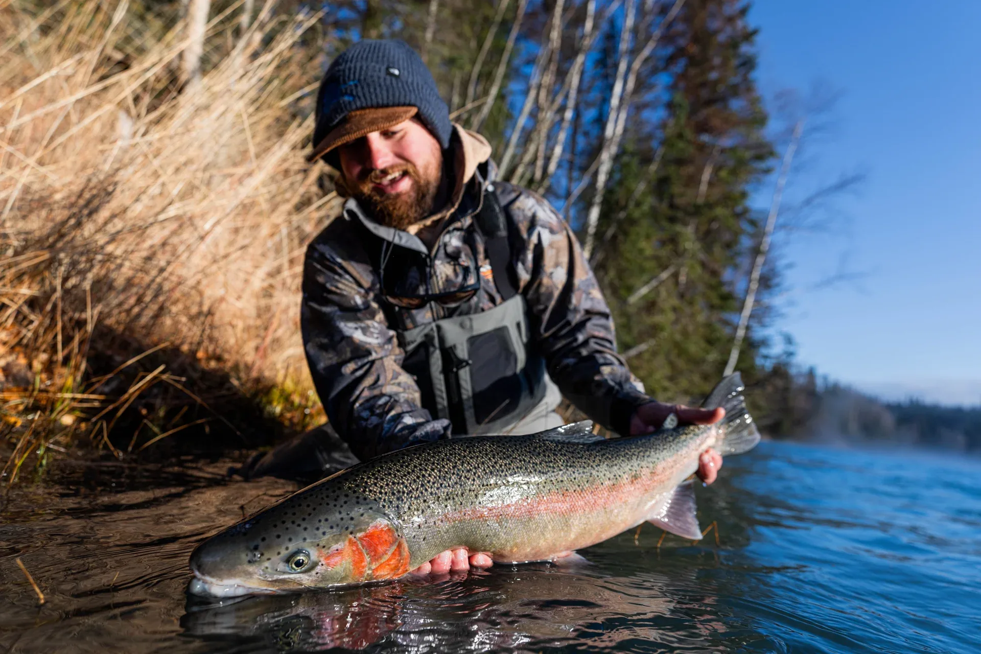 Chrome Kenai steelhead eased back to the water on the glacial river